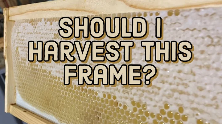 Three Things I Do Differently With Partially Capped Frames