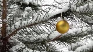 Видео Пейзажные зарисовки Зимний день (автор: МУП "ГИЦ "Касли-Информ")