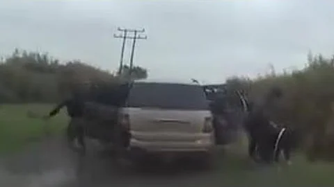 Wild Police Chase: Hare Coursers Busted in Cambridgeshire!