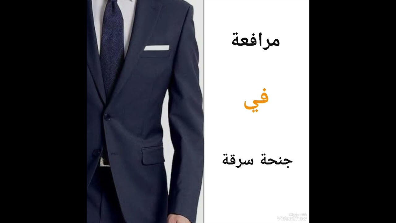 مرافعة في جنحة سرقة _ هاني حجاج المحامي بالنقض 