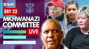 Nkabinde returns to Parliament