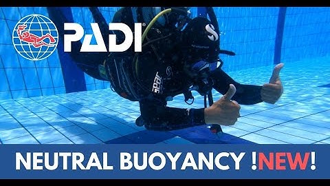 HOW TO perform neutral buoyancy UPDATED | PADI SCUBA SKILLS