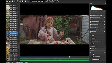 HOW TO PROCESS ML RAW FILES IN THE MLV APP WITHOUT THIRD-PARTY PROGRAMS / TUTORIAL FOR BEGINNERS