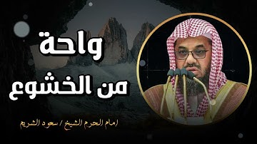 واحة من الخشوع لتلاوة تنبض بالسكينة و ترتيل لن يتكرر ll فضيلة الشيخ سعود الشريم