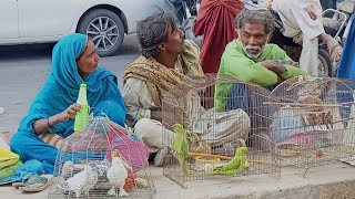 Biggest Birds Market Lalukhet Karachi Reasonable of All Bird