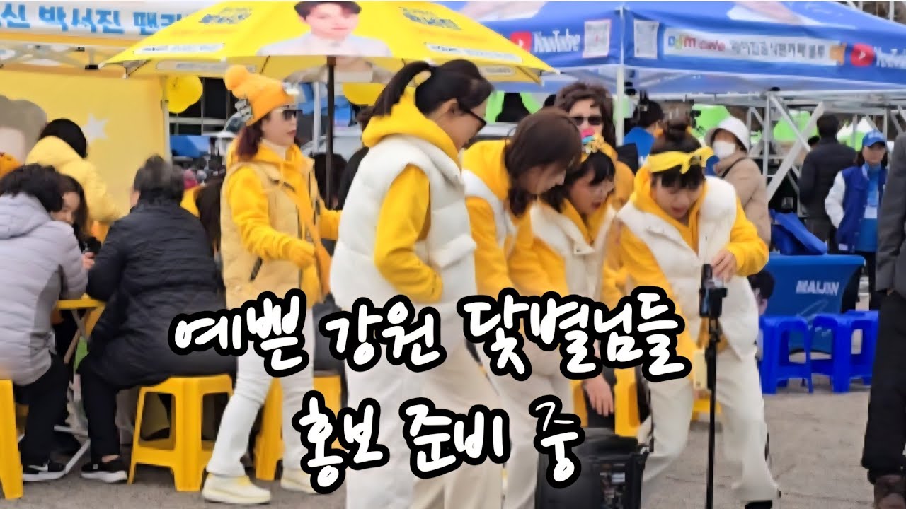 박서진 팬카페 열심히 홍보하는 강원 닻별님들 #박서진 