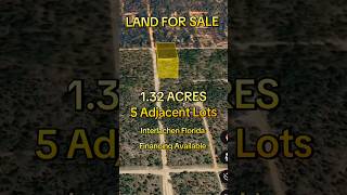 1.32 Acres (5 Adjoining Lots) 238 Royal Way, Interlachen, FL 32148 Financing Available !