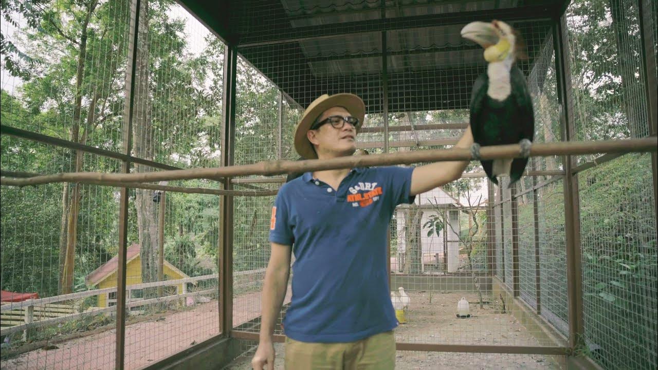 Mini Zoo Kuala Krai & Tasik Kuala Krai YouTube