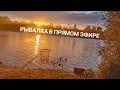 Рыбалка. Прямая трансляция / Виталий Дальке