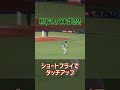 塩見の神走塁 #塩見泰隆 #青木宣親 #東京ヤクルトスワローズ #坂本勇人 #若林晃弘 #小林誠司 #山口俊 #プロ野球 #shorts