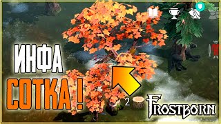 КАК БЫСТРО ФАРМИТЬ КЛЕН! ИЗИ КАМЕНКА ЗА ПАРУ ДНЕЙ! ИНФА СОТКА!Frostborn