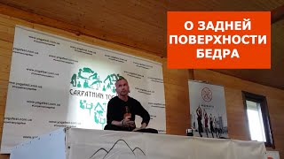 О задней поверхности бедра. Анатолий Зенченко.