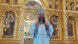 Predica Mitropolitului Longhin - Se vor stărui să aducă un om... acela va fi antihristul 28.08.2022