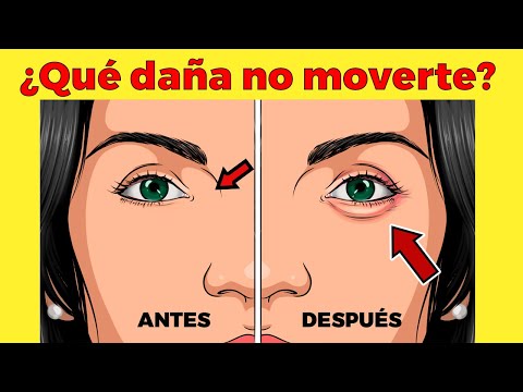 La Guía de las Vitaminas