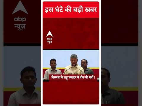 Top News | देखिए इस घंटे की बहुत बड़ी खबरें | Ravneet Singh Bittu | Rahul Gandhi #abpnewsshorts