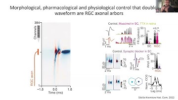 2.05 - Extracting axonal arbor signals from Neuropixels data (Jérémie Sibille)