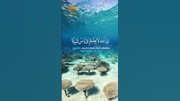 🌺 إن الله لا يظلم الناس شيئا ولكن الناس أنفسهم يظلمون 🌺 القارئ عبد الباسط عبد الصمد رحمة الله عليه 🌺