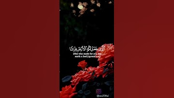 اسلام صبحي/سورة البقرة_ يا أيها الناس اعبدوا ربكم الذي خلقكم#اسلام_صبحي #quran #قرآن #alquran #viral