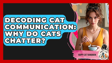 Decoding Cat Communication: Why Do Cats Chatter? - Happy Cat Handbook