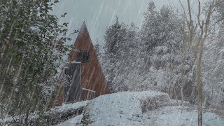 【白噪音】✅聆聽冬季山林風聲和下雪的聲音丨適合放鬆入睡丨學習丨冥想環境音丨治癒耳鳴焦慮丨ptsd丨催眠曲丨憂鬱症丨BGM【the sound of snow】