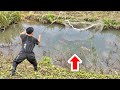 洪水で養魚場から脱走したニシキゴイを捕獲しに来ました