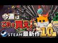 今週は地味ながら好みに刺さるゲームばかりで最高の週【Steam最新作】