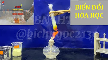 THÍ NGHIỆM VỀ BIẾN ĐỔI HÓA HỌC #biendoihoahoc #KHTN8 #hoacobichngoc