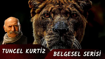 Belgesel - 1 Tuncel KURTİZ