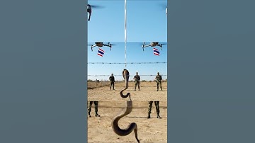 Unbelievable Drone Delivery Snakes Sent to Soldiers’ Camp! #aivideo #drone #dronevideo #shorts