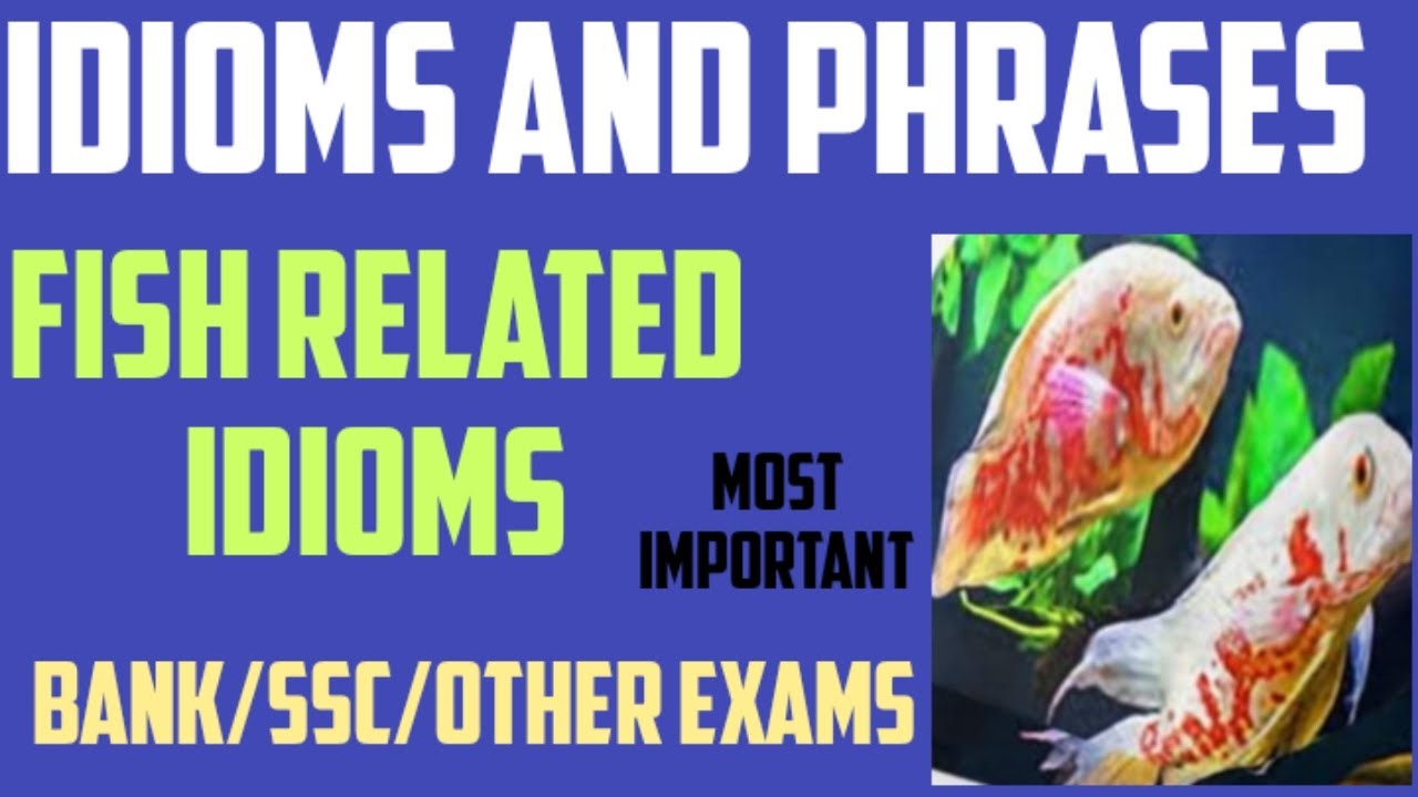 Fish related idioms Fishy expression in English fish idioms Idioms