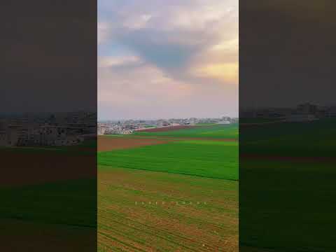 والله كسر ضهري يغالي رحيلك الادرن الامارات السعودية العراق عتابات سوريا عتابا الكويت إدلب