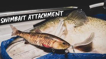 Swimbait Attachment; Murray Cod Fishing techniques