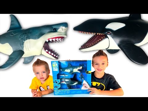 Игрушки для детей Игра Касатка и Акула Видео для детей Family fan game Shark Animal Planet
