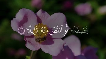 يا ايها المزمل قم الليل الا قليلا | القارئ عبدالرحمن مسعد سورة المزّمّل |