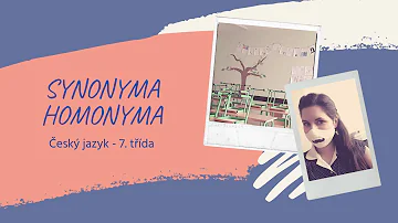 Co znamená synonyma?