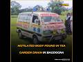 Mutilated body found in tea garden drain in Bagdogra, police launch investigation (Hindi)