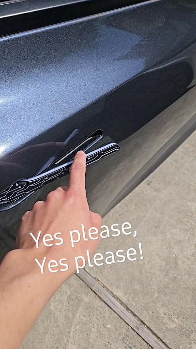 Tesla Model 3 / Y auto presenting door handles and soft close doors! @TialloyElf #teslalife #tesla