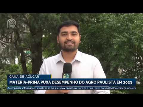 Cana-de-açúcar: matéria-prima puxa desempenho do agro paulista em 2023 | Canal Rural