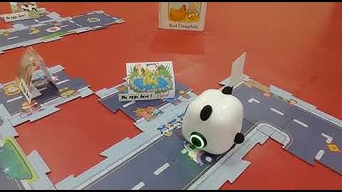 See before you buy mTiny robot