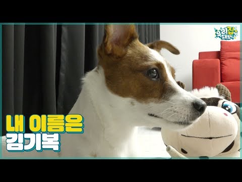 Hey 모두들 안녕~ 내가 누군지 아늬? My name is 김기복☆ [우리집에 왜왔니] 12회