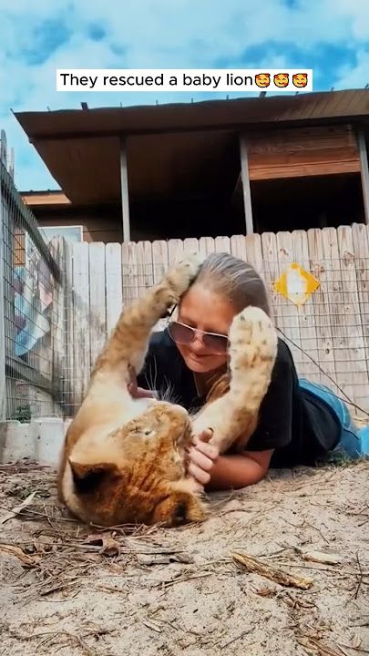 They rescued a baby lion #shorts