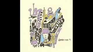 Damien Rice- Rootless Tree (Album Version) + Testo