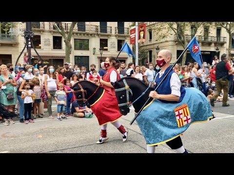 Vídeo: Els cotoners s'escampen cada any?