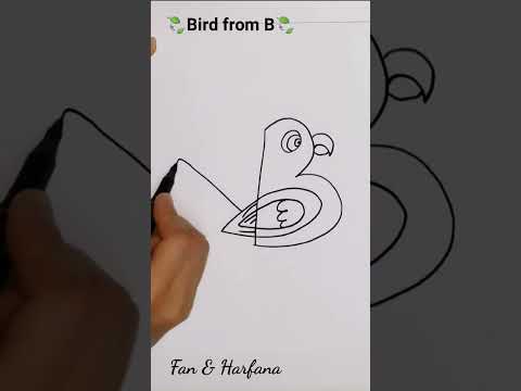 جميل بس مش بيطير            رسم فن