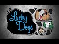 Lucky Dogs | A Making of 101 Dalmatians