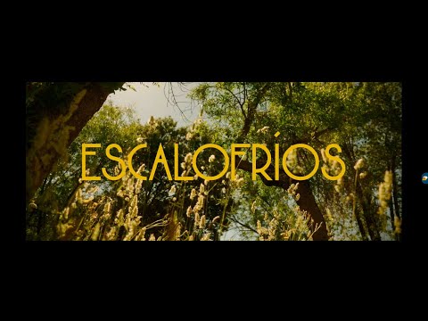 Veintiuno - Escalofros (Videoclip Oficial)