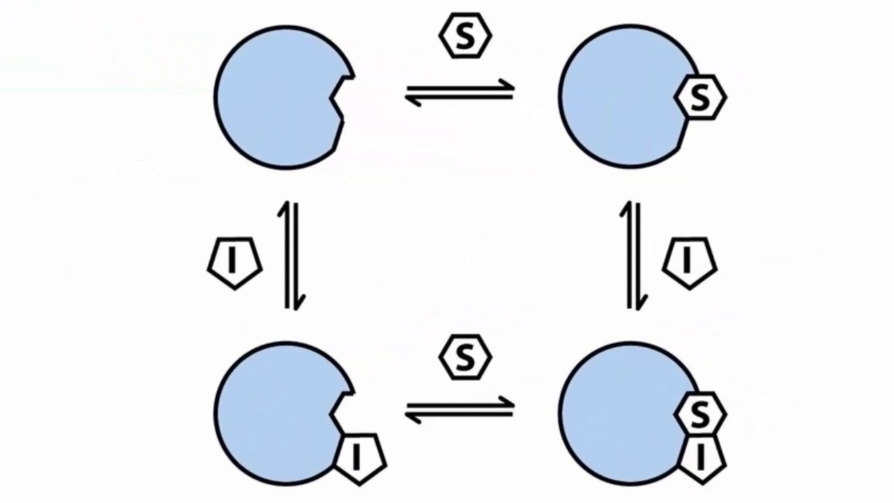 Inhibición enzimática