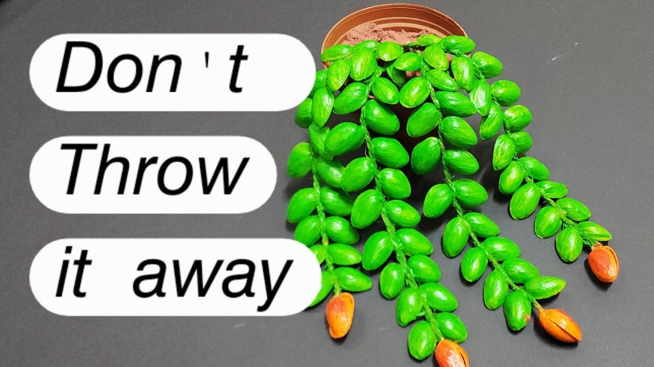 Beautiful Home decor idea from Pista shell /trash to tressure /#diy #homedecor