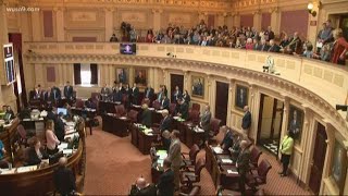 Virginia Primary Elections: Polls are officially open
