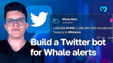 Create a Twitter Bot for Whale Alerts with Moralis Streams and Python | Moralis Web3